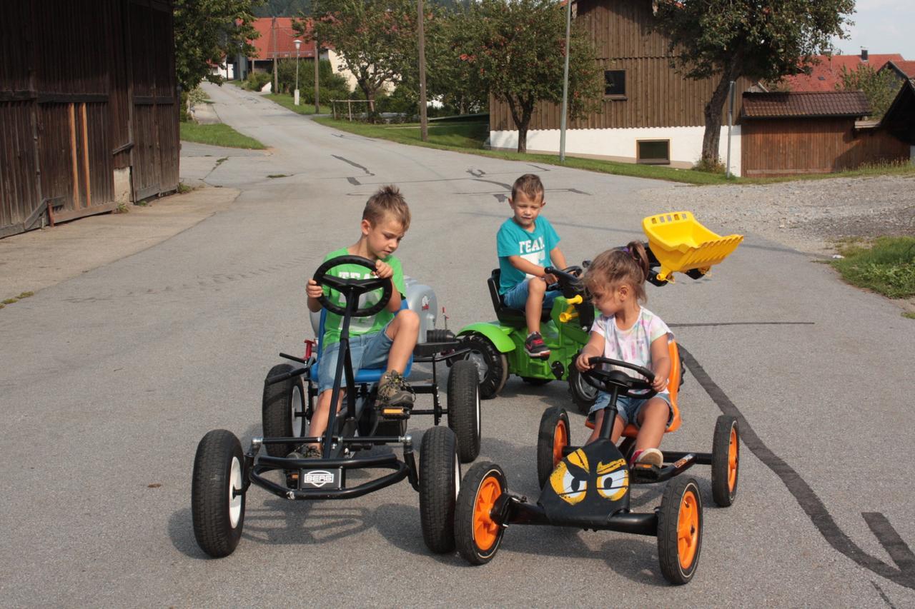Ferienhof Naderhirn - Bauernhof Wegscheid Ngoại thất bức ảnh